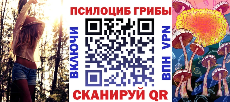 купить наркотик  Советск  Псилоцибиновые грибы MAGIC MUSHROOMS 