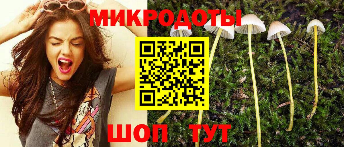 Псилоцибиновые грибы GOLDEN TEACHER  Вход с VPN  Советск  Псилоцибиновые грибы мицелий 